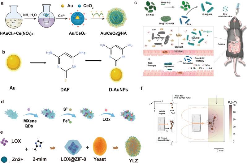 https://cdn.ncbi.nlm.nih.gov/pmc/blobs/4ed0/11786591/c12921ae53bc/12951_2025_3141_Fig5_HTML.jpg