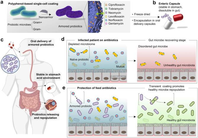 https://cdn.ncbi.nlm.nih.gov/pmc/blobs/4ed0/11786591/fcea818c4474/12951_2025_3141_Fig17_HTML.jpg