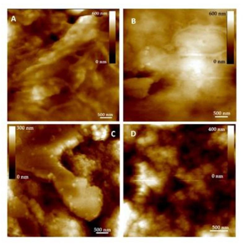 https://cdn.ncbi.nlm.nih.gov/pmc/blobs/4ed0/7914656/29de31a7d701/molecules-26-00845-g006.jpg