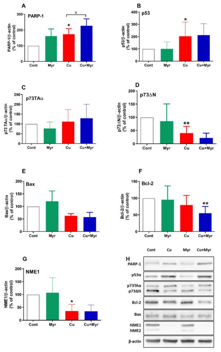 https://cdn.ncbi.nlm.nih.gov/pmc/blobs/4ed0/7914656/480aa27571ca/molecules-26-00845-g004.jpg