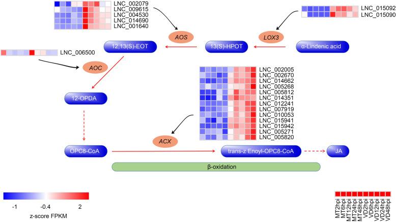https://cdn.ncbi.nlm.nih.gov/pmc/blobs/4ed1/7852192/9719ae087193/12870_2021_2835_Fig5_HTML.jpg