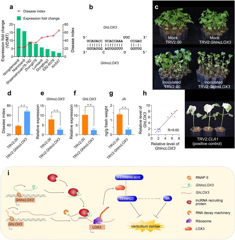 https://cdn.ncbi.nlm.nih.gov/pmc/blobs/4ed1/7852192/b23673b90746/12870_2021_2835_Fig6_HTML.jpg