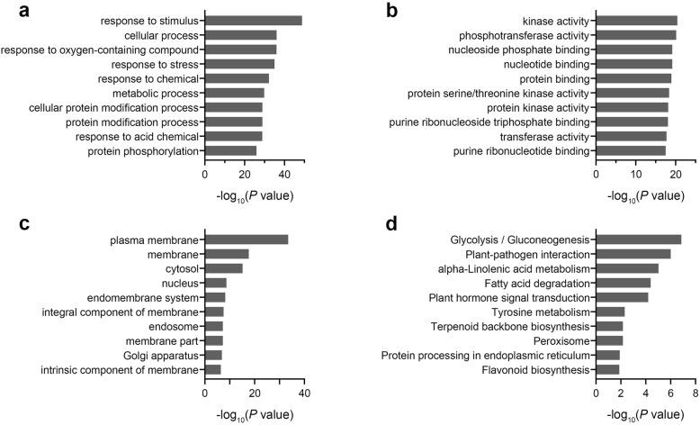 https://cdn.ncbi.nlm.nih.gov/pmc/blobs/4ed1/7852192/e0779acc1f01/12870_2021_2835_Fig4_HTML.jpg