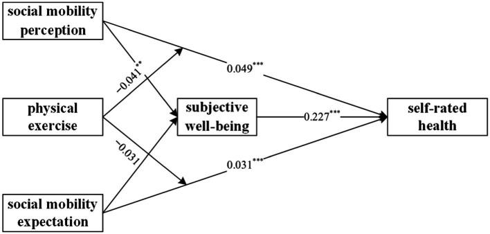 https://cdn.ncbi.nlm.nih.gov/pmc/blobs/4ed2/11999969/6e63ce166aa1/fpubh-13-1562862-g002.jpg
