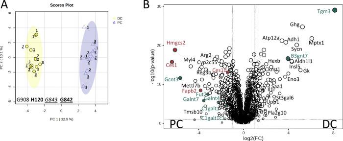 https://cdn.ncbi.nlm.nih.gov/pmc/blobs/4ed3/11301693/afef5d809559/pr3c00771_0007.jpg