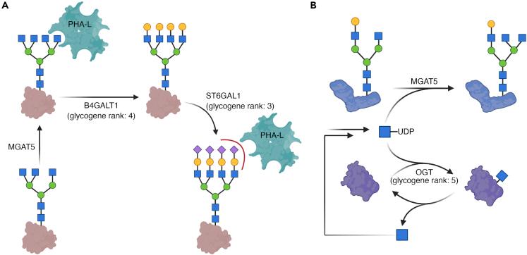 https://cdn.ncbi.nlm.nih.gov/pmc/blobs/4ed4/9547197/23136b145eab/gr6.jpg