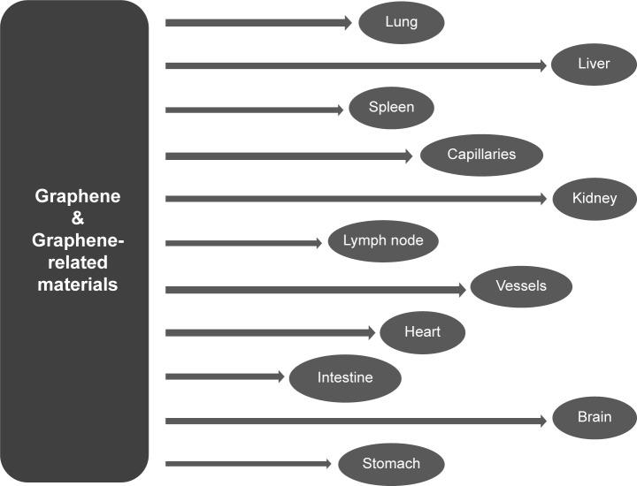 https://cdn.ncbi.nlm.nih.gov/pmc/blobs/4ed5/4863686/a3a23d9a83b5/ijn-11-1927Fig4.jpg