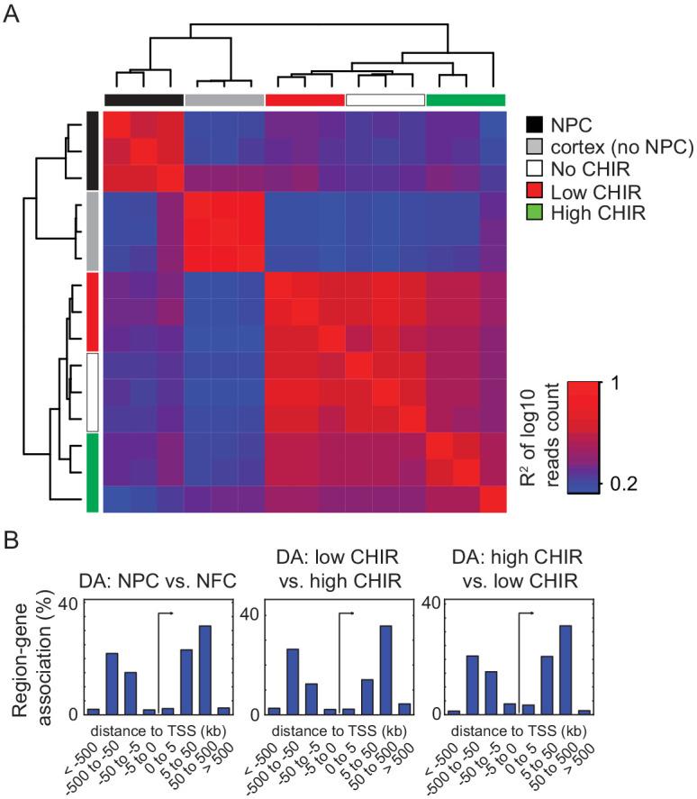 https://cdn.ncbi.nlm.nih.gov/pmc/blobs/4ed7/7924951/6cb41c3fb6f8/elife-64444-fig2-figsupp1.jpg
