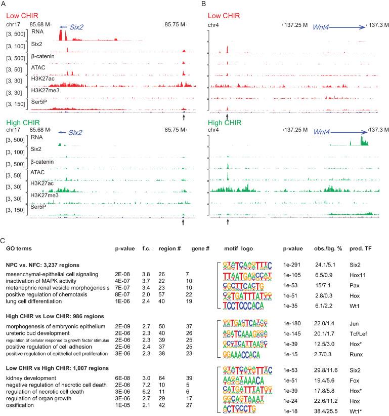 https://cdn.ncbi.nlm.nih.gov/pmc/blobs/4ed7/7924951/75e21ffb1b18/elife-64444-fig2.jpg