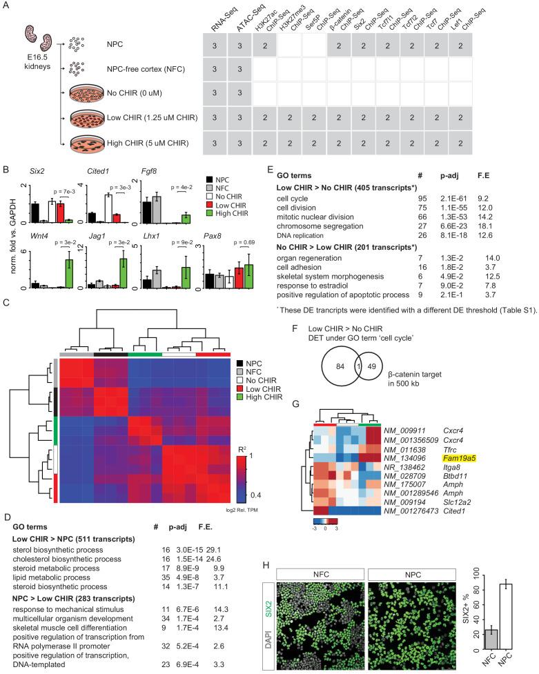 https://cdn.ncbi.nlm.nih.gov/pmc/blobs/4ed7/7924951/bd1f22842c84/elife-64444-fig1-figsupp1.jpg