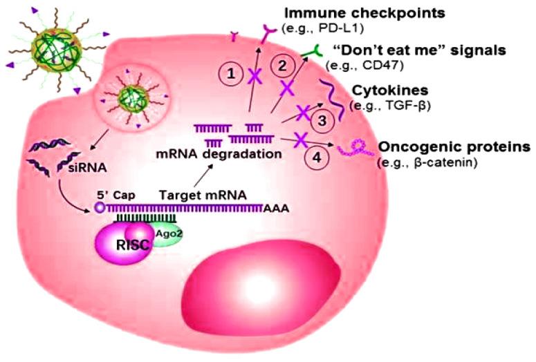 https://cdn.ncbi.nlm.nih.gov/pmc/blobs/4ed8/8708502/87c934d01061/nanomaterials-11-03330-g005.jpg