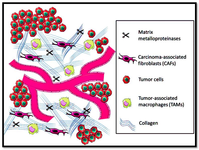 https://cdn.ncbi.nlm.nih.gov/pmc/blobs/4ed8/8708502/9c1cfed83f66/nanomaterials-11-03330-g003.jpg