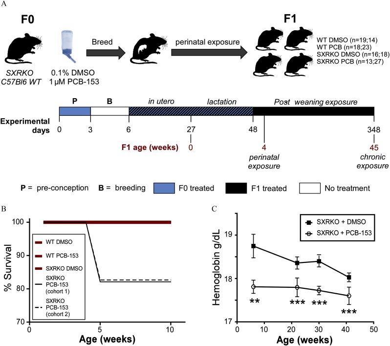 https://cdn.ncbi.nlm.nih.gov/pmc/blobs/4edb/7228131/c99438ce3ebe/ehp6262_f1.jpg