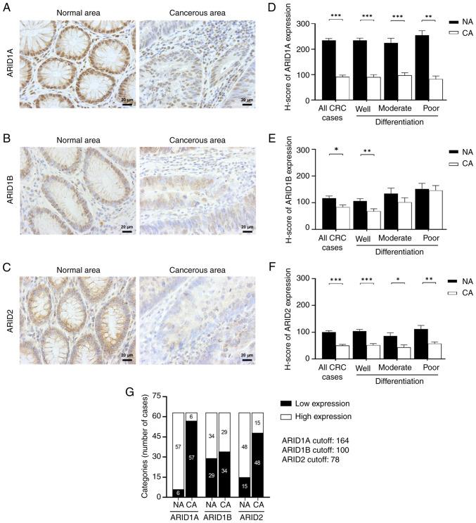 https://cdn.ncbi.nlm.nih.gov/pmc/blobs/4edc/12131309/193f1969915e/br-23-01-01997-g01.jpg