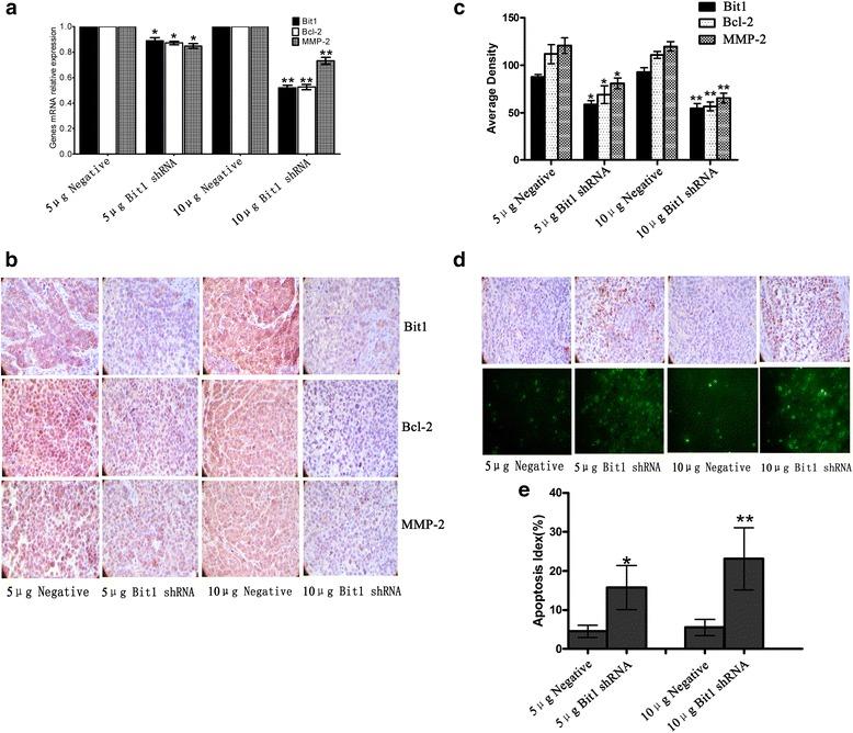 https://cdn.ncbi.nlm.nih.gov/pmc/blobs/4edc/4782287/0734f7c37b6d/12943_2016_507_Fig6_HTML.jpg