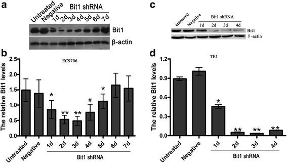 https://cdn.ncbi.nlm.nih.gov/pmc/blobs/4edc/4782287/787c58a6f5bf/12943_2016_507_Fig2_HTML.jpg