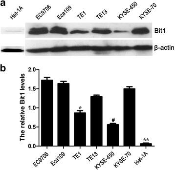 https://cdn.ncbi.nlm.nih.gov/pmc/blobs/4edc/4782287/842d5e3d79d3/12943_2016_507_Fig1_HTML.jpg