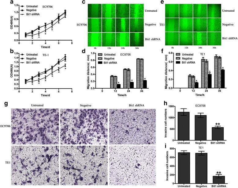 https://cdn.ncbi.nlm.nih.gov/pmc/blobs/4edc/4782287/e9248a9ea44a/12943_2016_507_Fig3_HTML.jpg