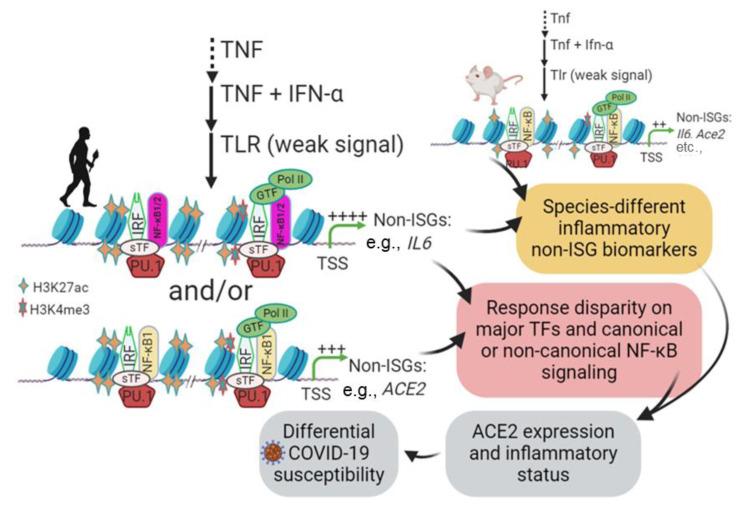 https://cdn.ncbi.nlm.nih.gov/pmc/blobs/4edf/7912275/3aea80d716e0/genes-12-00154-g009.jpg