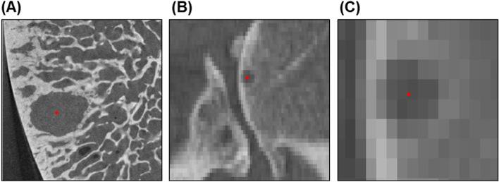 https://cdn.ncbi.nlm.nih.gov/pmc/blobs/4edf/9823169/1d9ccae54f80/40634_2022_564_Fig1_HTML.jpg