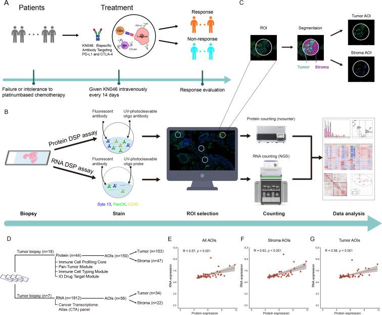 https://cdn.ncbi.nlm.nih.gov/pmc/blobs/4edf/9980352/ec45b02a108d/jitc-2022-006234f01.jpg