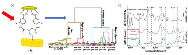 https://cdn.ncbi.nlm.nih.gov/pmc/blobs/4ee0/10296726/3a6802e0ca48/biosensors-13-00618-g014.jpg