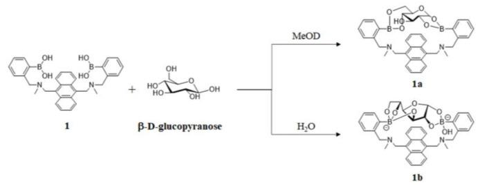 https://cdn.ncbi.nlm.nih.gov/pmc/blobs/4ee0/10296726/449062d8f00c/biosensors-13-00618-g003.jpg