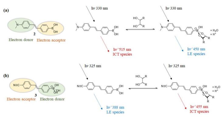 https://cdn.ncbi.nlm.nih.gov/pmc/blobs/4ee0/10296726/9b8e71a49628/biosensors-13-00618-g005.jpg