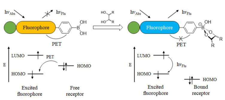 https://cdn.ncbi.nlm.nih.gov/pmc/blobs/4ee0/10296726/d7342366830a/biosensors-13-00618-g006.jpg