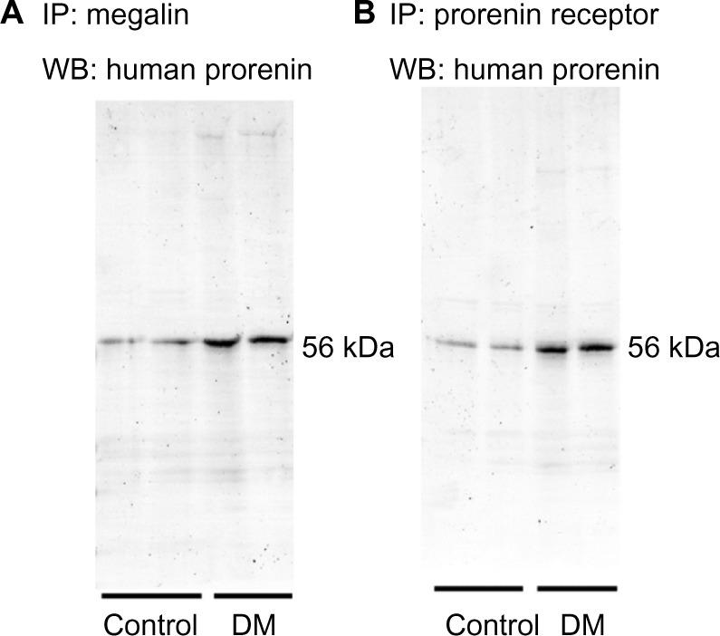 https://cdn.ncbi.nlm.nih.gov/pmc/blobs/4ee1/4723098/c6f335b4aee6/dmso-9-001Fig5.jpg