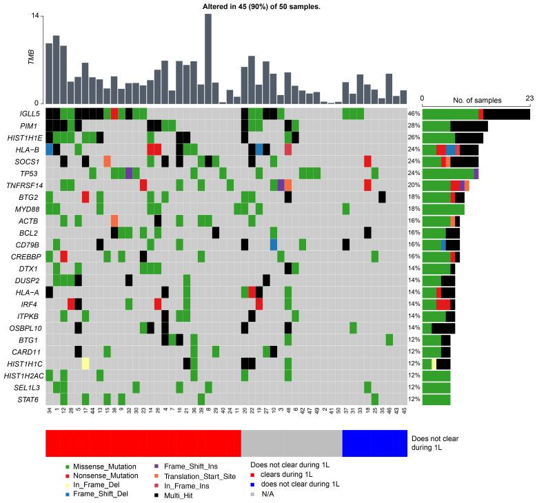 https://cdn.ncbi.nlm.nih.gov/pmc/blobs/4ee2/11317400/131055e24684/fonc-14-1407003-g005.jpg