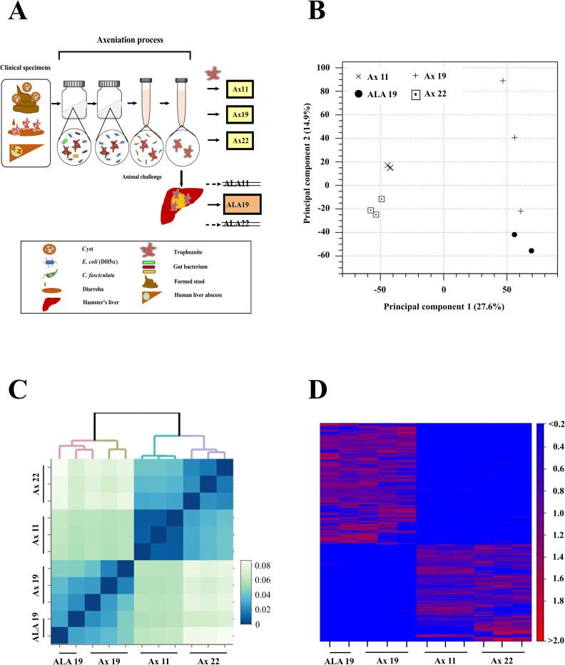 https://cdn.ncbi.nlm.nih.gov/pmc/blobs/4ee2/9555656/24e7467ca4d8/ppat.1010880.g002.jpg