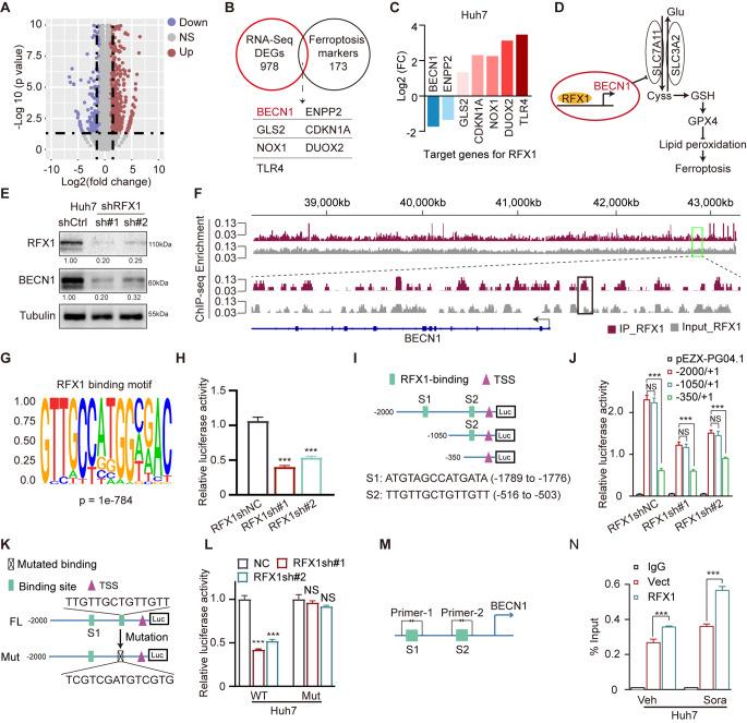 https://cdn.ncbi.nlm.nih.gov/pmc/blobs/4ee9/11996997/72975812d68e/13402_2024_1017_Fig3_HTML.jpg