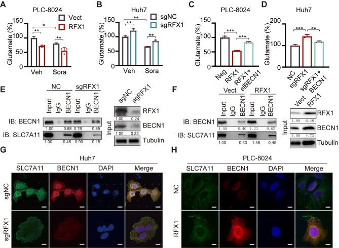 https://cdn.ncbi.nlm.nih.gov/pmc/blobs/4ee9/11996997/9453957584d3/13402_2024_1017_Fig4_HTML.jpg