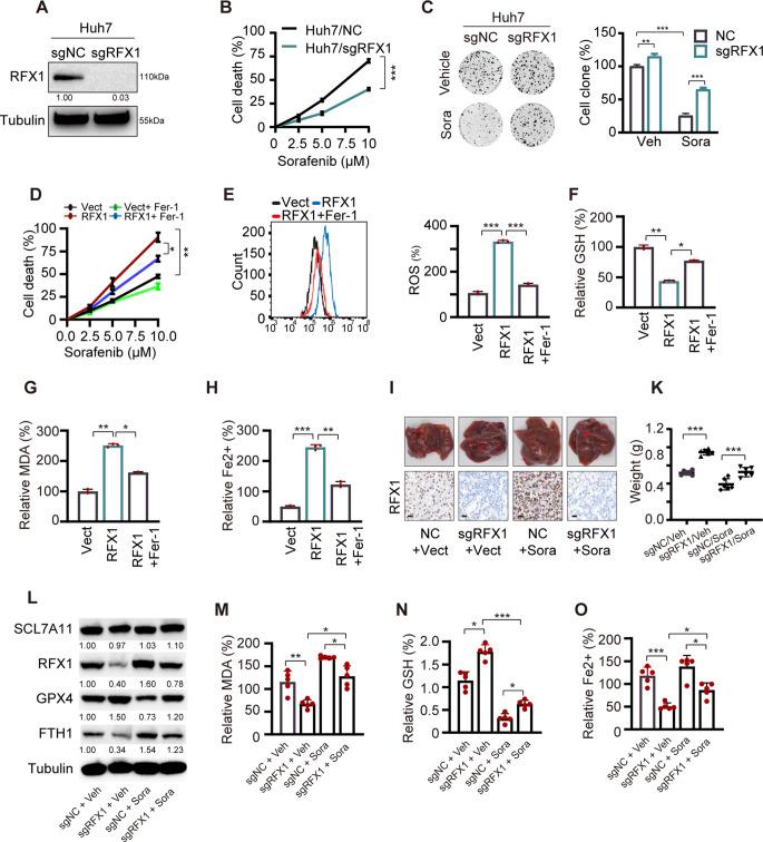 https://cdn.ncbi.nlm.nih.gov/pmc/blobs/4ee9/11996997/db172ba78d4d/13402_2024_1017_Fig2_HTML.jpg