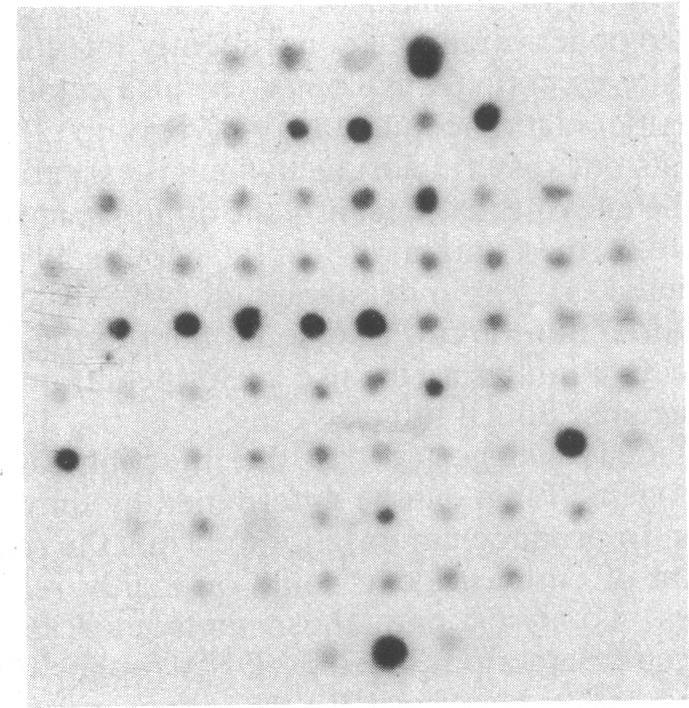 https://cdn.ncbi.nlm.nih.gov/pmc/blobs/4ee9/345343/205ef41634a5/pnas00614-0018-a.jpg