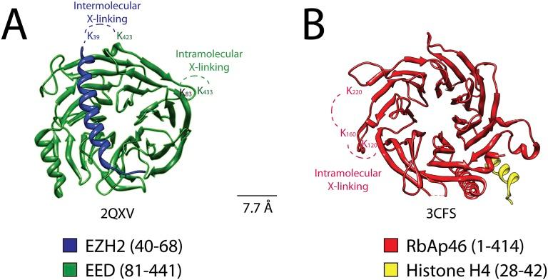 https://cdn.ncbi.nlm.nih.gov/pmc/blobs/4eeb/3482686/596f067dfb38/elife00005f006.jpg