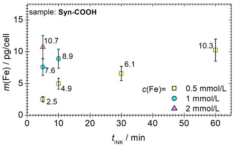 https://cdn.ncbi.nlm.nih.gov/pmc/blobs/4eeb/9496715/78d9adbf5cd9/cells-11-02892-g005.jpg