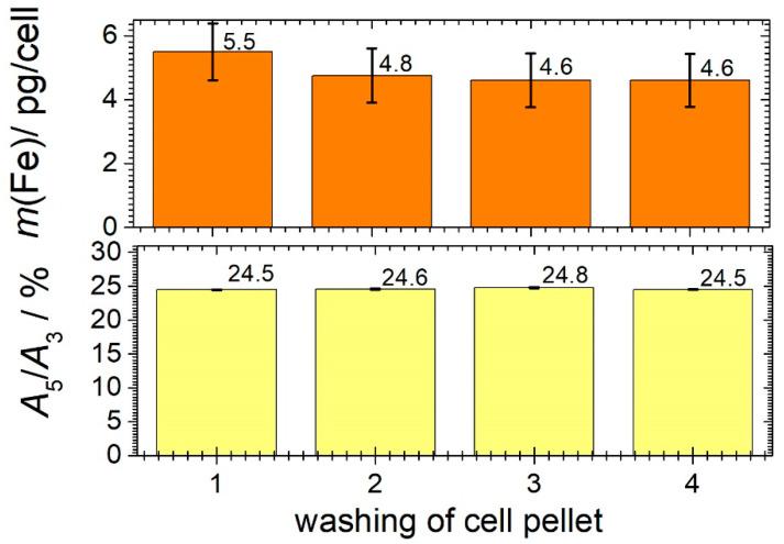 https://cdn.ncbi.nlm.nih.gov/pmc/blobs/4eeb/9496715/7c5d8e8c417e/cells-11-02892-g006.jpg