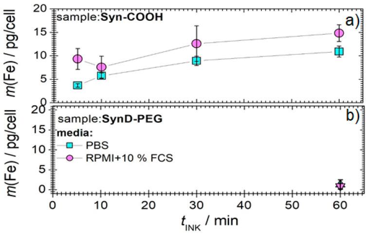 https://cdn.ncbi.nlm.nih.gov/pmc/blobs/4eeb/9496715/ea1571b9e90a/cells-11-02892-g003.jpg