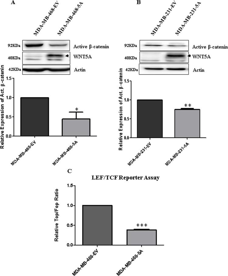 https://cdn.ncbi.nlm.nih.gov/pmc/blobs/4eee/5641063/4538ff86ca9b/oncotarget-08-71471-g005.jpg