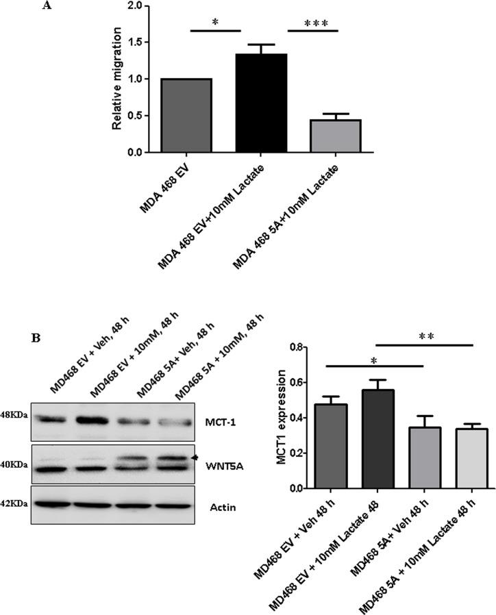 https://cdn.ncbi.nlm.nih.gov/pmc/blobs/4eee/5641063/4fe4f2251303/oncotarget-08-71471-g007.jpg