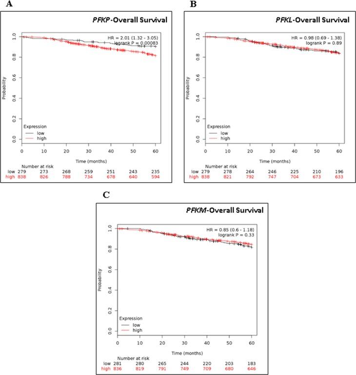 https://cdn.ncbi.nlm.nih.gov/pmc/blobs/4eee/5641063/7f79ff42af01/oncotarget-08-71471-g002.jpg
