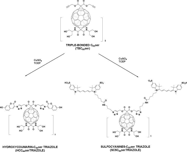 https://cdn.ncbi.nlm.nih.gov/pmc/blobs/4eee/9364322/14c7a1c12b87/ab2c00542_0007.jpg