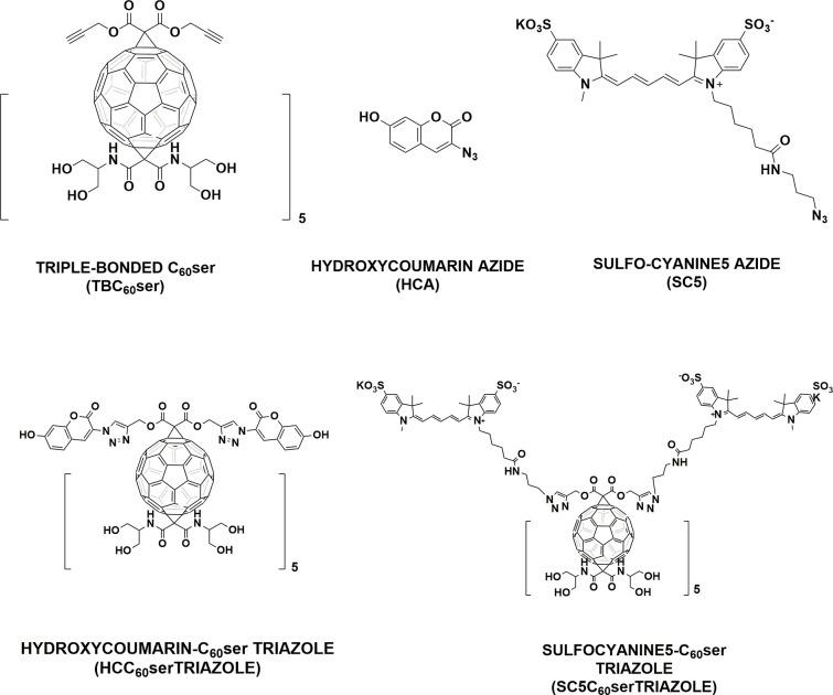https://cdn.ncbi.nlm.nih.gov/pmc/blobs/4eee/9364322/a737d93ff7d7/ab2c00542_0001.jpg