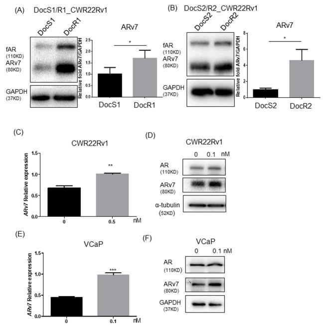 https://cdn.ncbi.nlm.nih.gov/pmc/blobs/4eef/7521536/429645d54695/aging-12-103917-g003.jpg