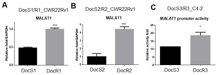 https://cdn.ncbi.nlm.nih.gov/pmc/blobs/4eef/7521536/60c0ad165bf7/aging-12-103917-g004.jpg
