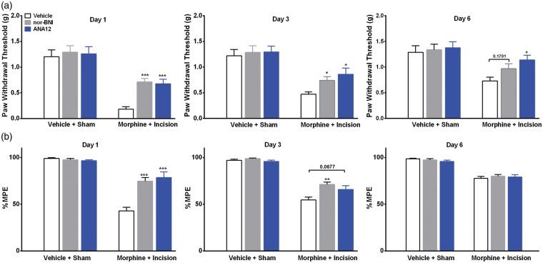 https://cdn.ncbi.nlm.nih.gov/pmc/blobs/4ef0/4956243/1938217fc3bb/10.1177_1744806916641950-fig6.jpg