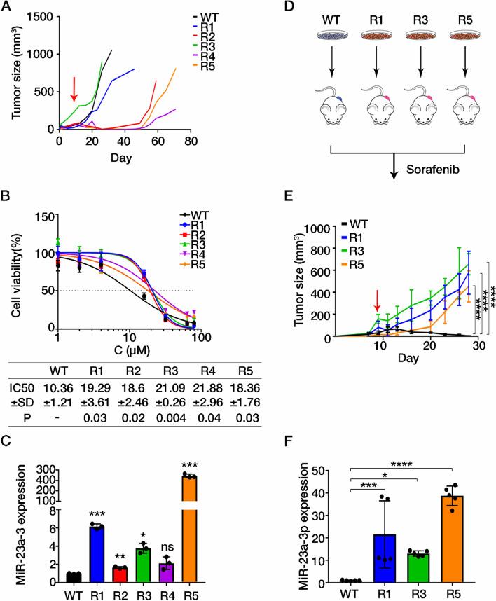https://cdn.ncbi.nlm.nih.gov/pmc/blobs/4ef0/8722264/16c10806cbd4/13046_2021_2208_Fig2_HTML.jpg