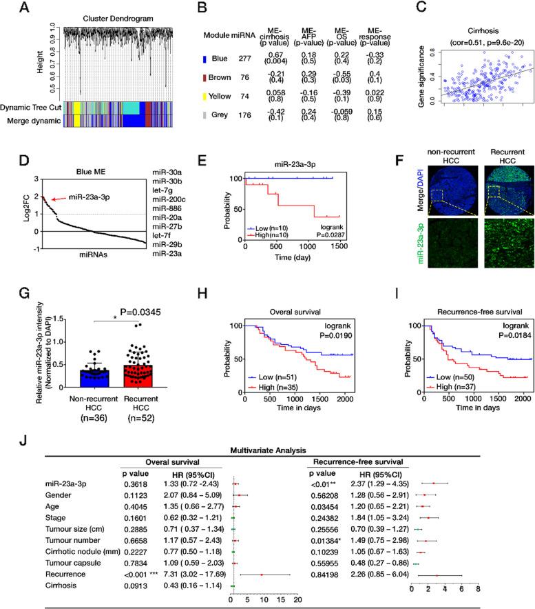 https://cdn.ncbi.nlm.nih.gov/pmc/blobs/4ef0/8722264/5940ee27e5eb/13046_2021_2208_Fig1_HTML.jpg